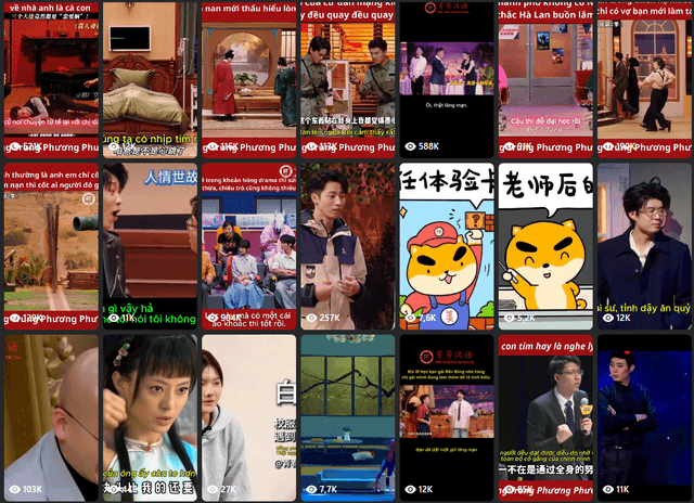 Dịch Video AI Result 1